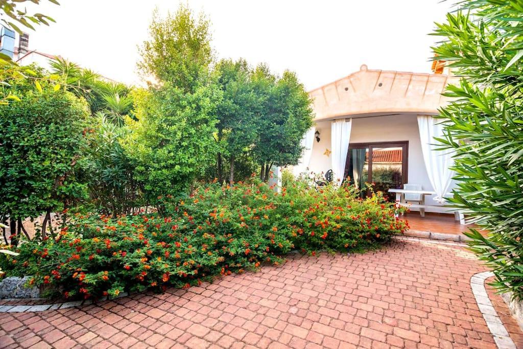 Residence Lu Soli Budoni Affitti Dış mekan fotoğraf