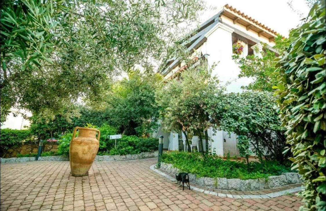 Residence Lu Soli Budoni Affitti Dış mekan fotoğraf